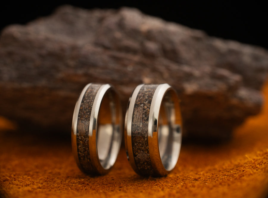Epoch - Dinosaur Bone - Titanium