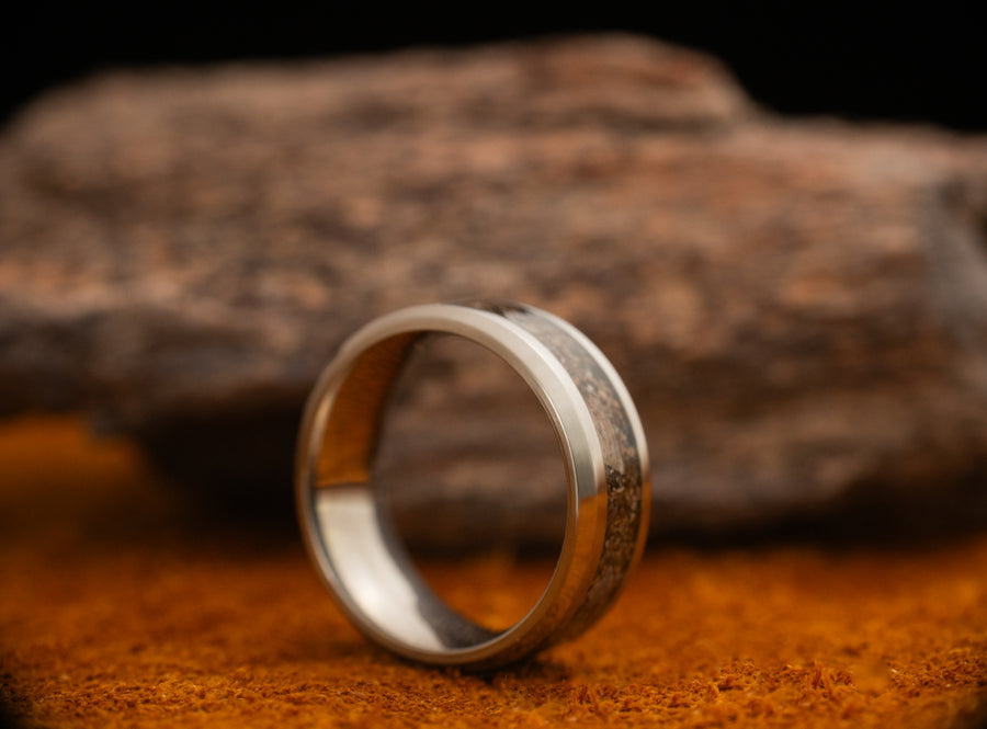 Epoch - Dinosaur Bone - Titanium