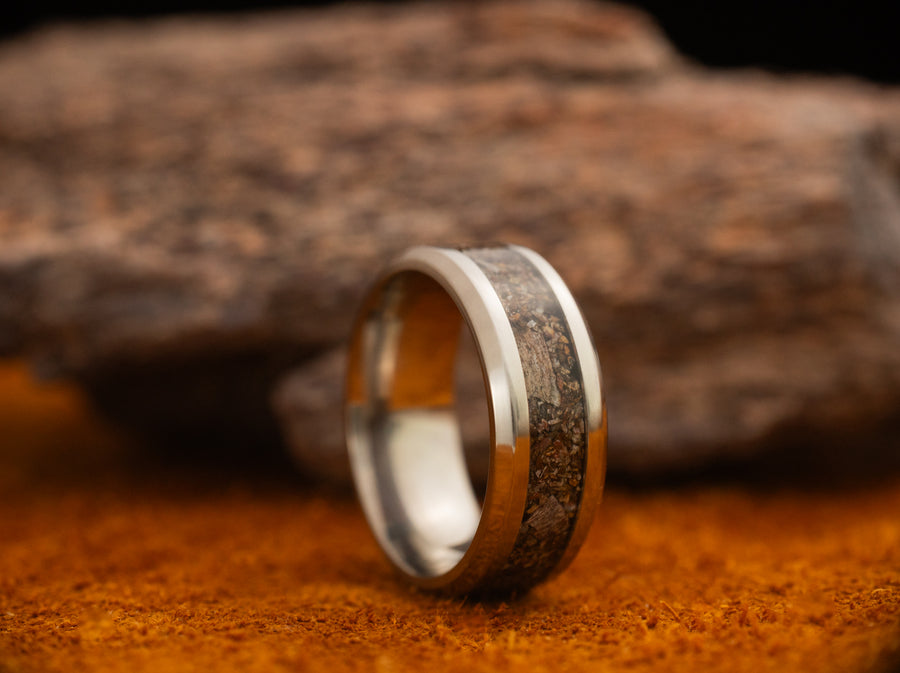 Epoch - Dinosaur Bone - Titanium
