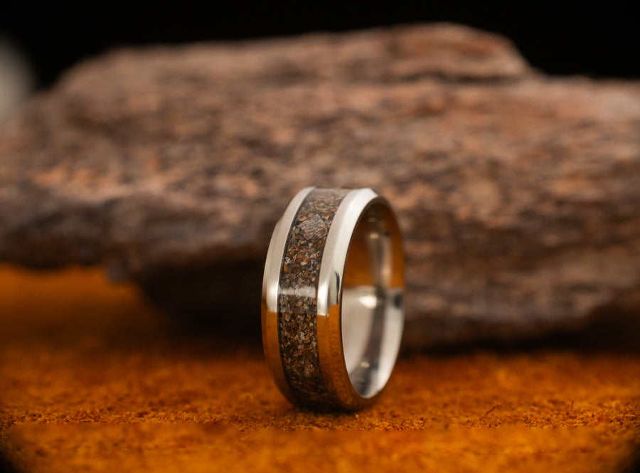 Epoch - Dinosaur Bone - Titanium