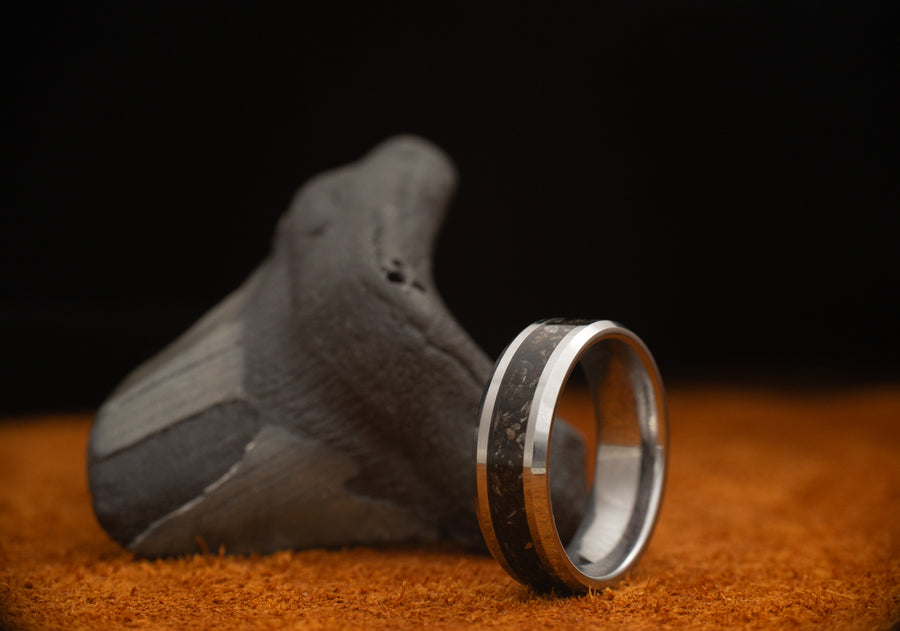 Epoch - Megalodon Tooth - Tungsten