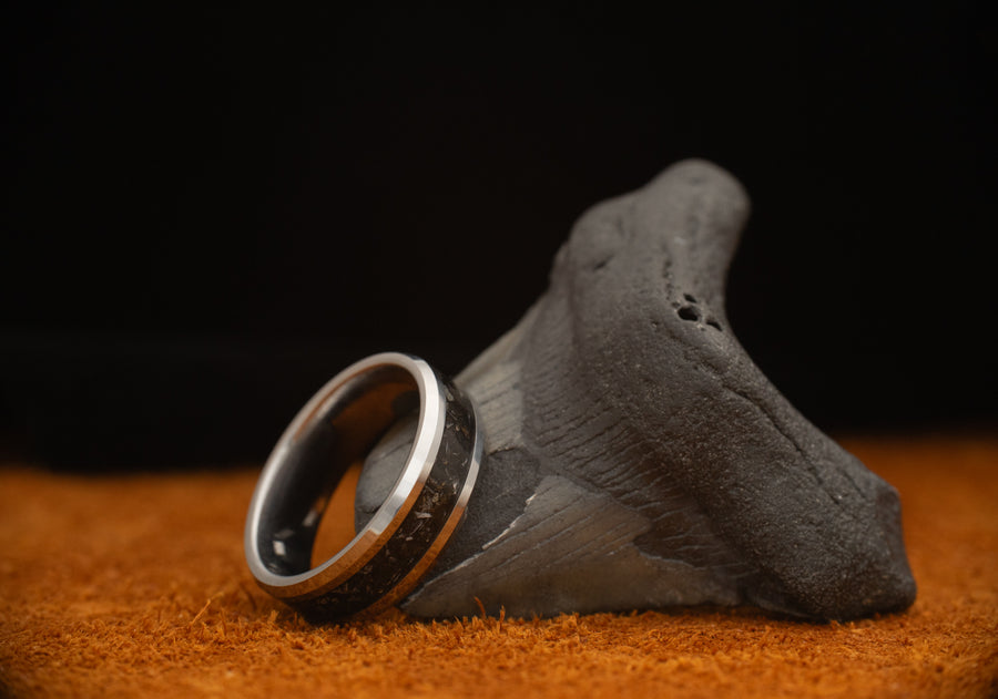 Epoch - Megalodon Tooth - Tungsten