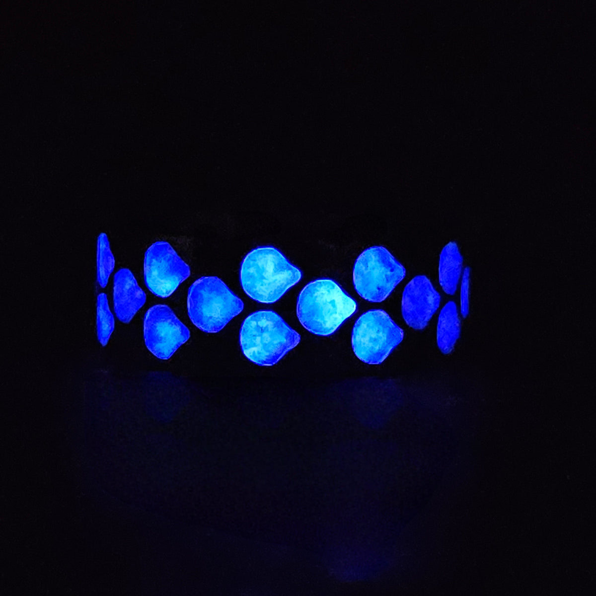 Ice Dragon  -  Titanium Dragonscale Ring